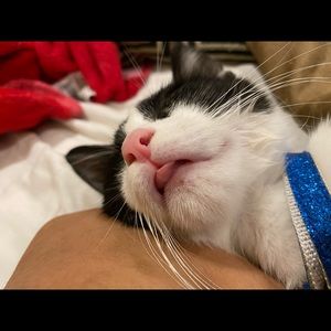 Meet your Posher, Cesar